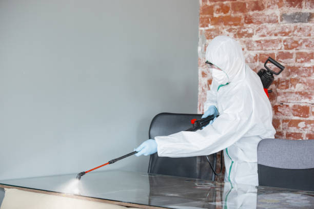 Best Asbestos and Lead Testing During Mold Inspection  in Rio Rancho, NM